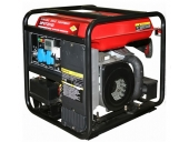Бензиновый генератор DDE DPG7201Ei