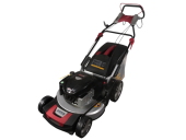 Бензиновая газонокосилка DDE WLZ21