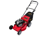 Бензиновая газонокосилка DDE WYZ22H-BS70-B