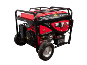 Бензиновый генератор DDE DPG6503E