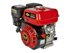 Бензиновый двигатель DDE 4Т DDE E650-S20