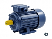 Электродвигатель БЭЗ АИP 100L6 IM1081