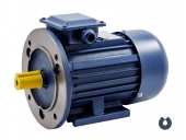 Электродвигатель БЭЗ АИP 100S4 IM2081