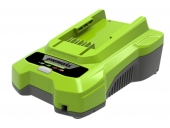 Зарядное устройство GreenWorks G40C